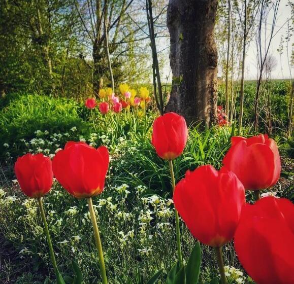 B & B Victors Hof, Met Zwemvijver In Landelijke Setting