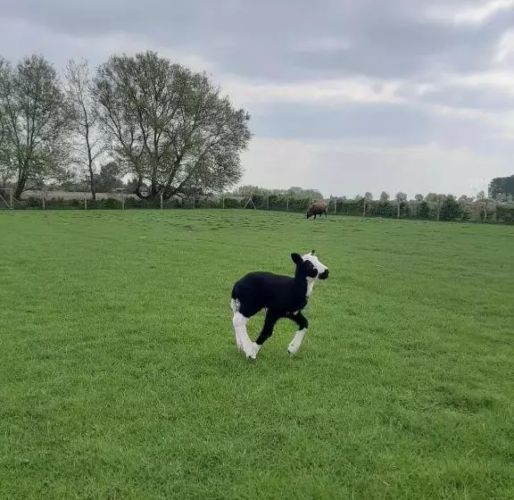 B & B Victors Hof, Met Zwemvijver In Landelijke Setting