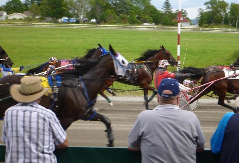 Back Home Bed And Breakfast