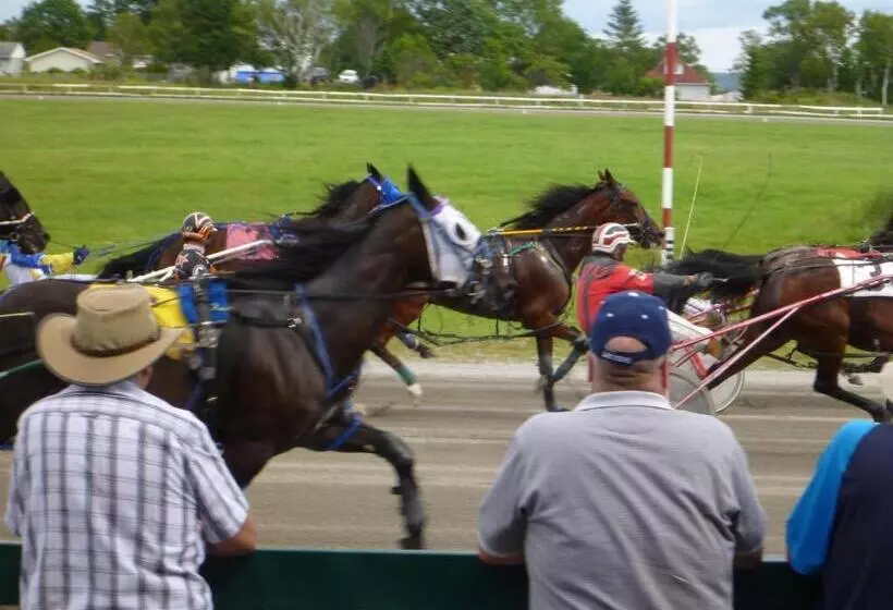 Back Home Bed And Breakfast