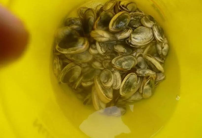 Back Home Bed And Breakfast