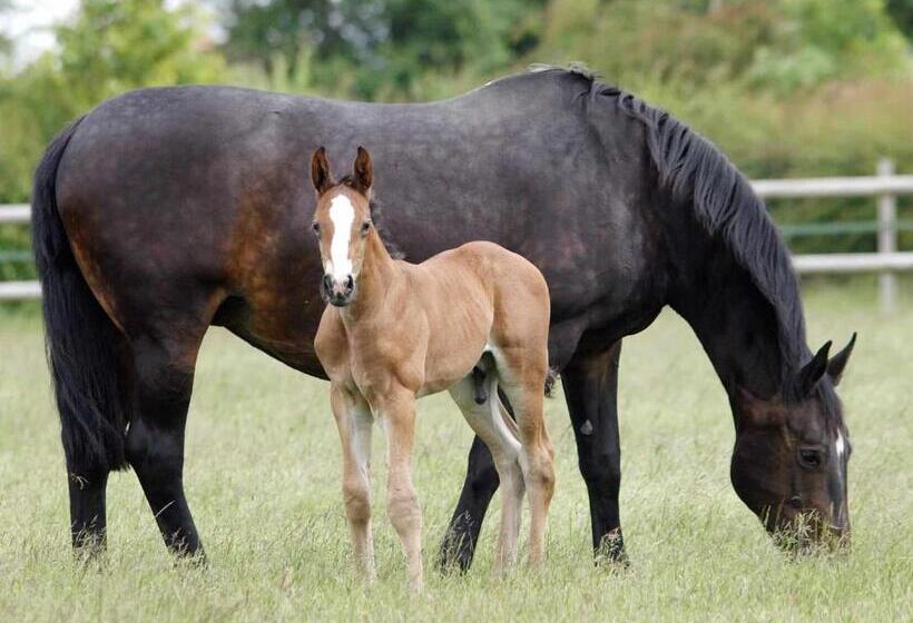 Back Home Bed And Breakfast