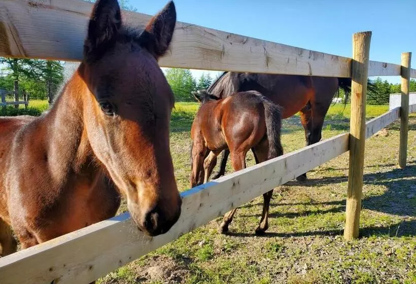Back Home Bed And Breakfast