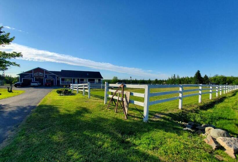 Back Home Bed And Breakfast