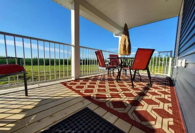 Back Home Bed And Breakfast