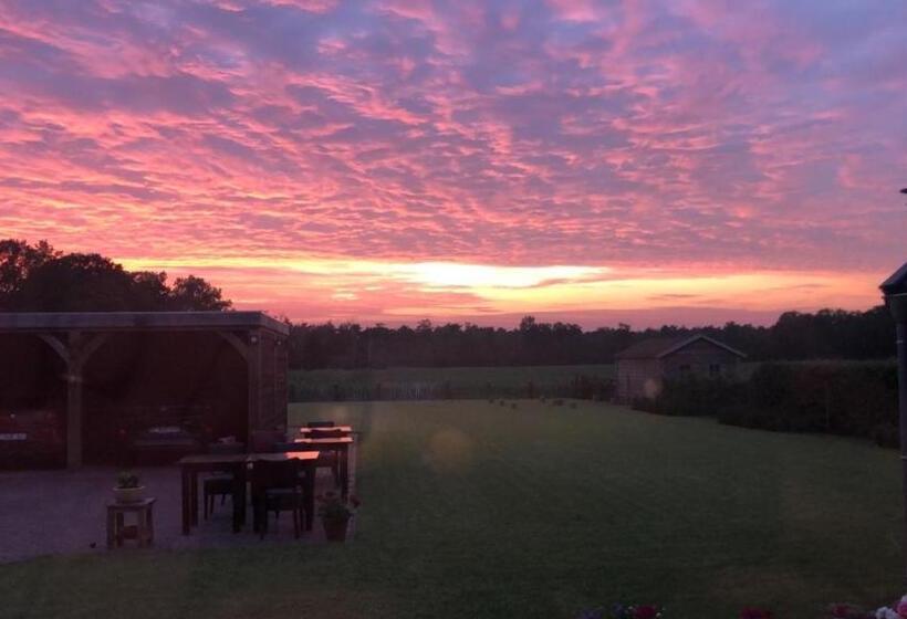 B&b  T Mjeels Pierke