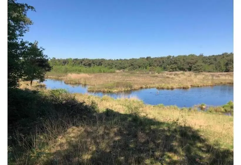 B&b  T Mjeels Pierke