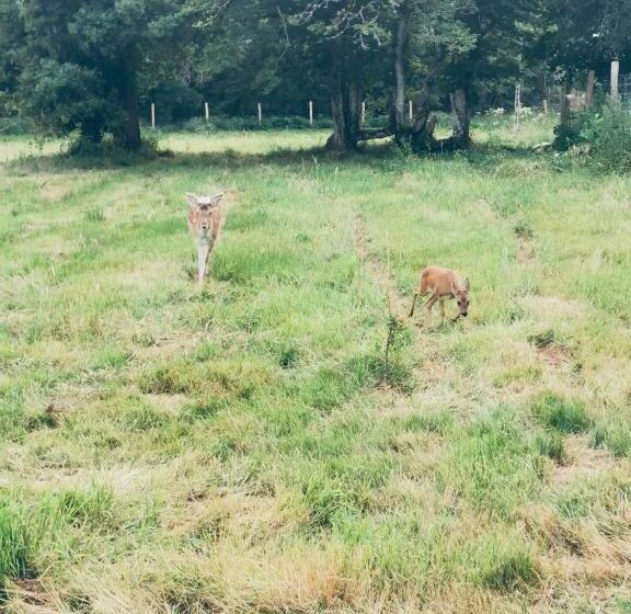 민박 Chambre Familiale élevage Girbal