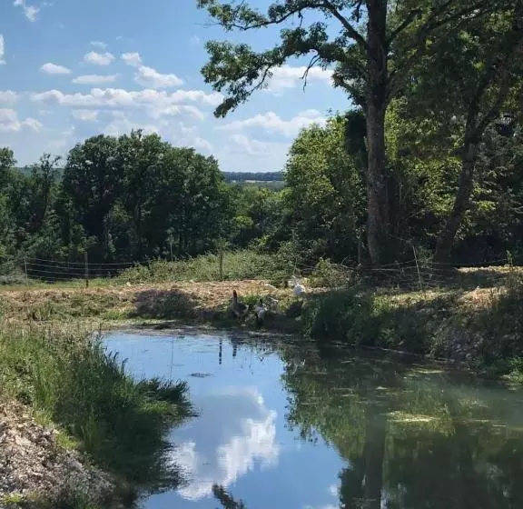 Aamiaismajoitus (B&B) Chambre Familiale élevage Girbal