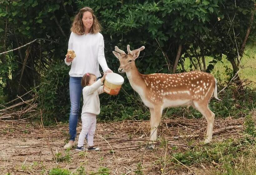 민박 Chambre Familiale élevage Girbal