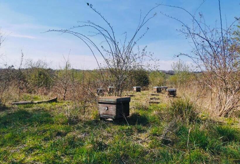 민박 Chambre Familiale élevage Girbal