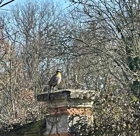 צימר Chateau De Freschines