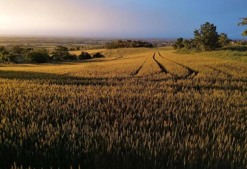 تختخواب و صبحانه La Mafalda In Oltrepo