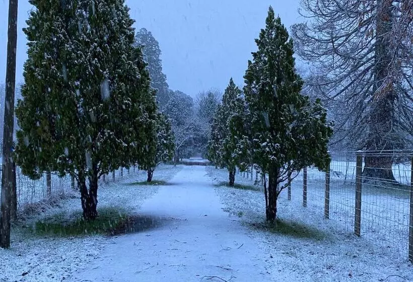 ベッドアンドブレックファースト Le Logis Des Quatre Puits