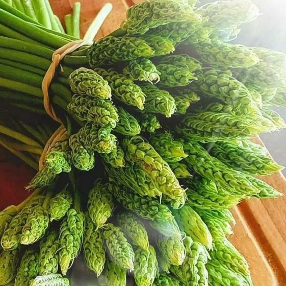 민박 Maison D Hôtes Entre Amis