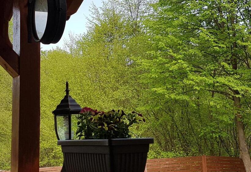 住宿加早餐 Vila Carmen