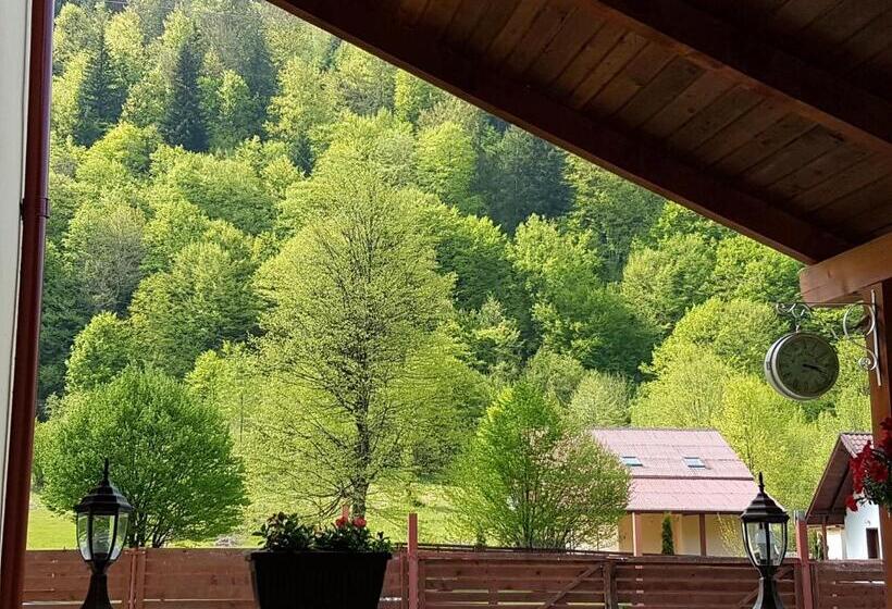 住宿加早餐 Vila Carmen