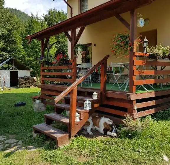 Aamiaismajoitus (B&B) Vila Carmen