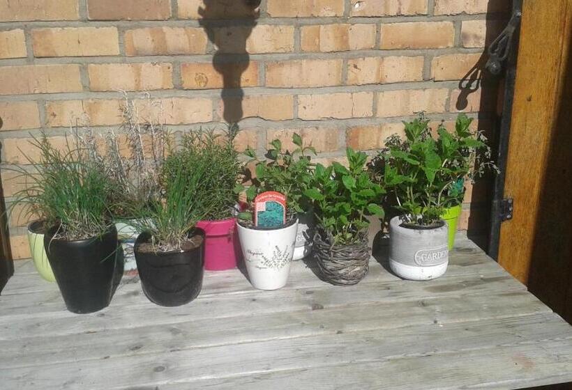 مبيت وإفطار Villa Lumina