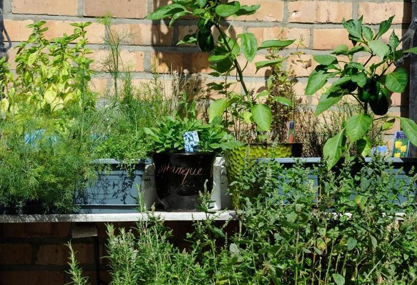 مبيت وإفطار Villa Lumina