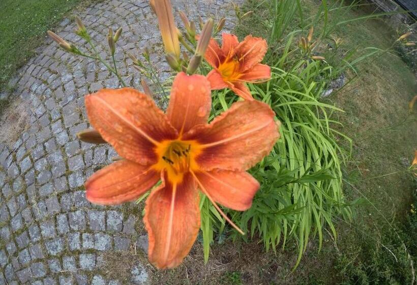 צימר Zum Alten Pfarrhaus