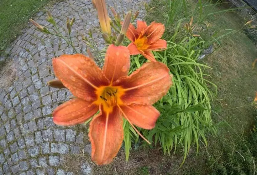 Aamiaismajoitus (B&B) Zum Alten Pfarrhaus