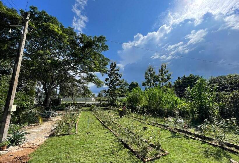 Hotel บ้านภัทร์จรัส น่าน Baan Patjarad Nan