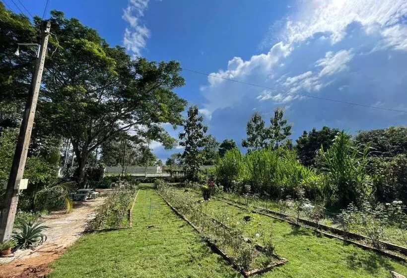 ホテル บ้านภัทร์จรัส น่าน   Baan Patjarad Nan