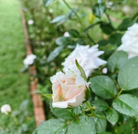 Hotel บ้านภัทร์จรัส น่าน Baan Patjarad Nan