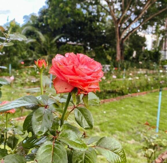 Hotel บ้านภัทร์จรัส น่าน Baan Patjarad Nan