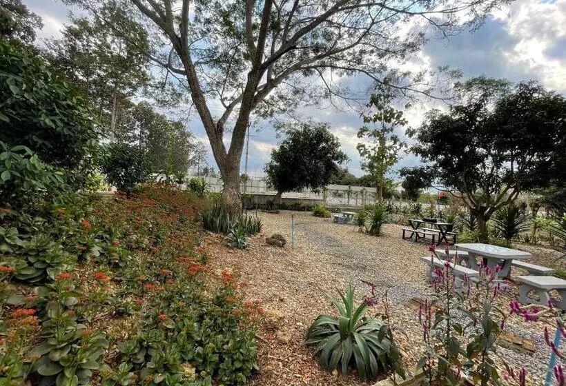 ホテル บ้านภัทร์จรัส น่าน   Baan Patjarad Nan
