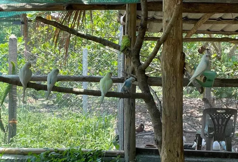ホテル บ้านภัทร์จรัส น่าน   Baan Patjarad Nan