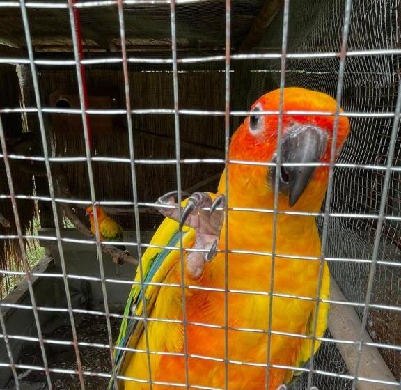 Hotel บ้านภัทร์จรัส น่าน Baan Patjarad Nan