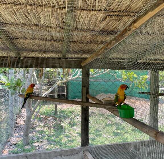 Hotel บ้านภัทร์จรัส น่าน Baan Patjarad Nan