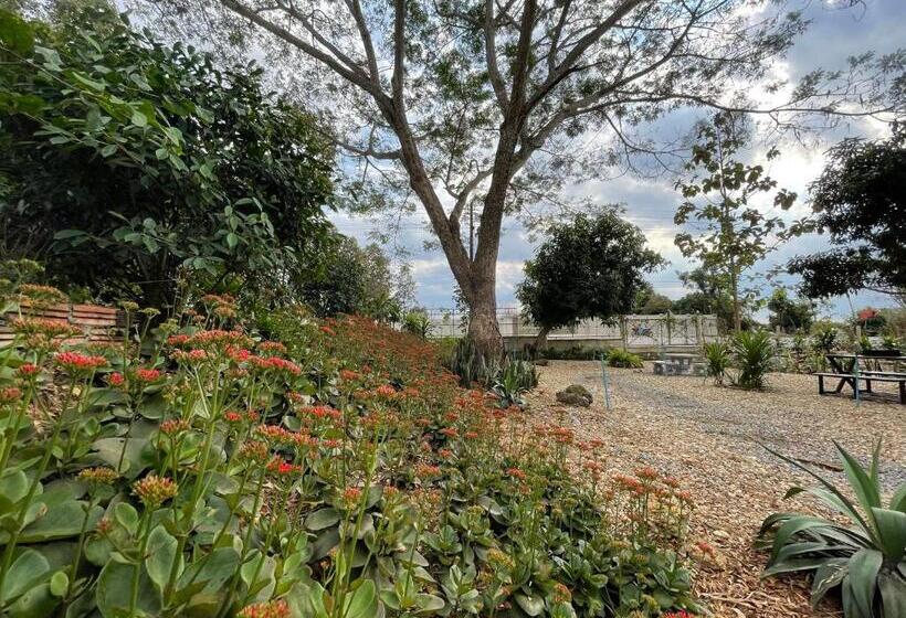 Hotel บ้านภัทร์จรัส น่าน Baan Patjarad Nan