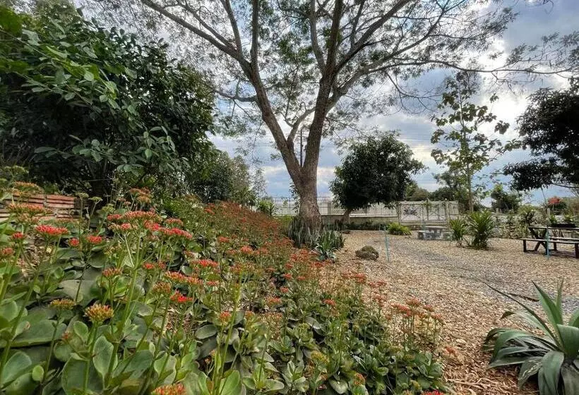 ホテル บ้านภัทร์จรัส น่าน   Baan Patjarad Nan