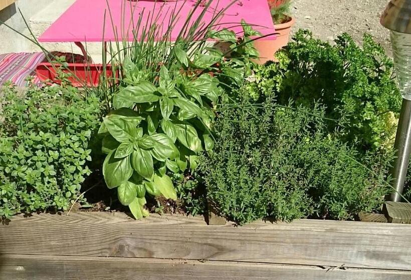 ホテル Ferme Familiale Chez Lili