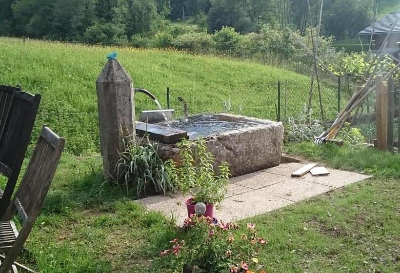 ホテル Ferme Familiale Chez Lili