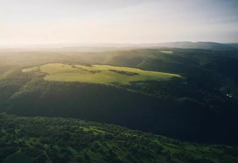 Hotelli Fetz Das Loreley