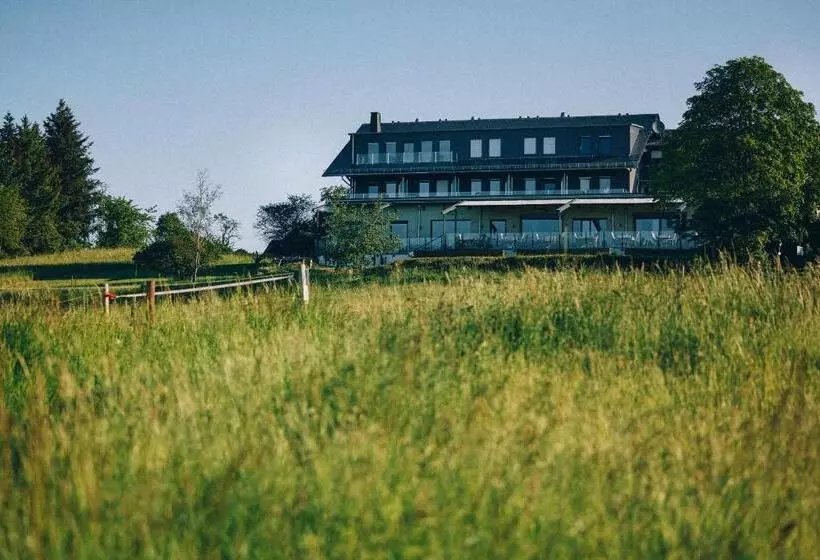 Hotelli Fetz Das Loreley