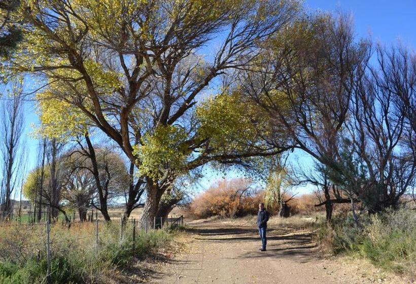 ホテル Hillmoor Stone Cottage