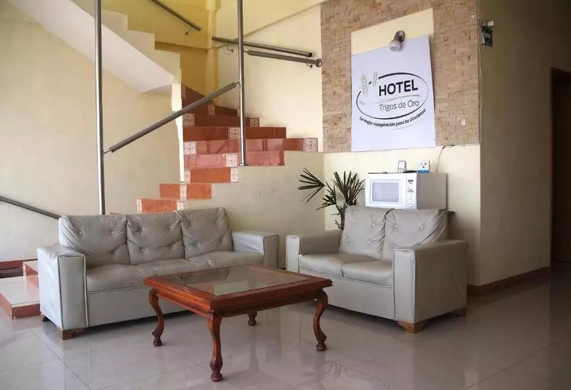 ホテル Oyo  Trigos De Oro
