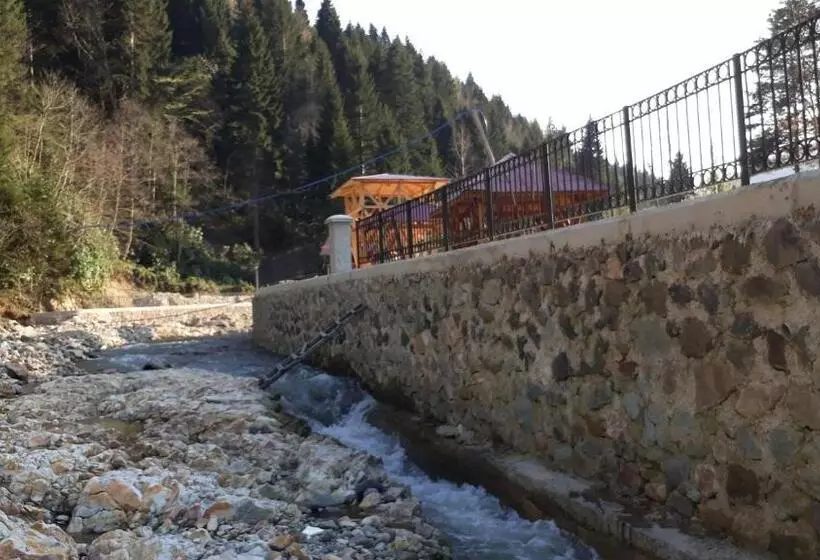 ホテル Yesilyayla Eko Turizm