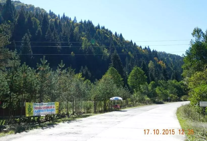 ホテル Yesilyayla Eko Turizm