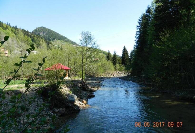 Отель Yesilyayla Eko Turizm