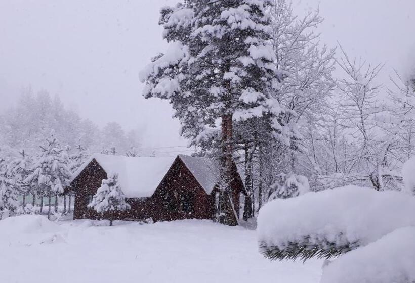 Отель Yesilyayla Eko Turizm