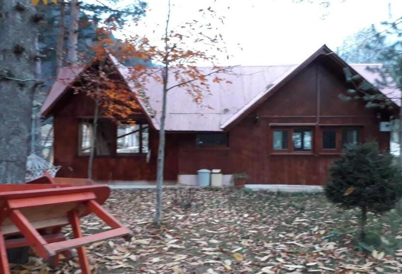 Отель Yesilyayla Eko Turizm