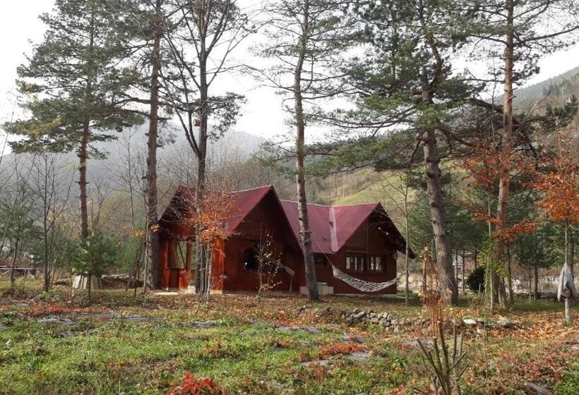 Отель Yesilyayla Eko Turizm