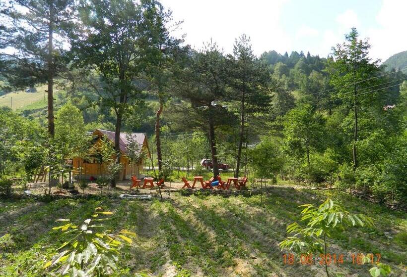 Отель Yesilyayla Eko Turizm