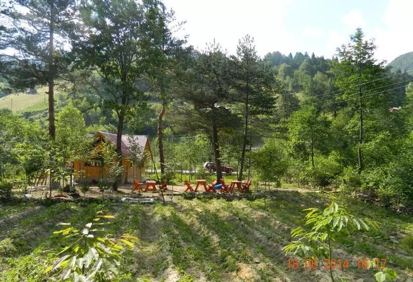 ホテル Yesilyayla Eko Turizm